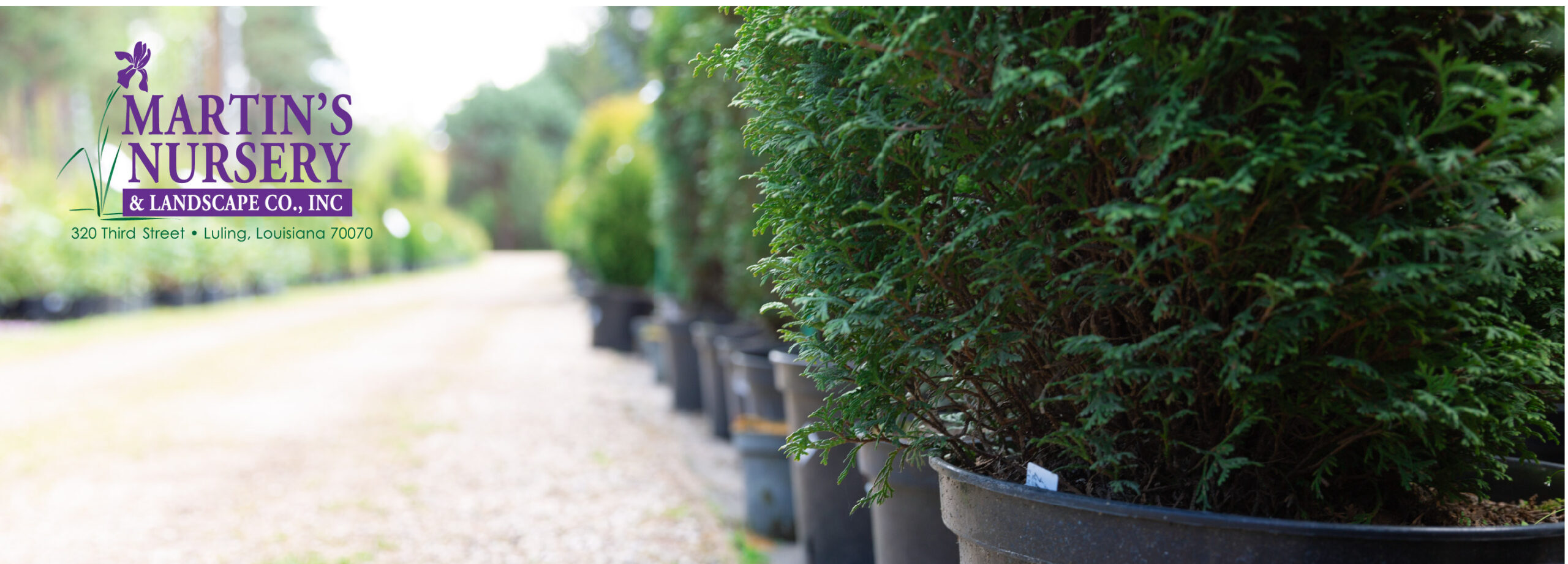 Plants, Herbs, Trees, Pots, & Mulch